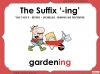 The Suffix '-ing' - Year 3 and 4 Teaching Resources (slide 1/19)